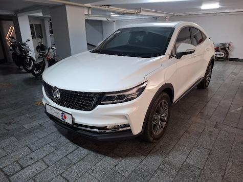 dongfeng-dignity-image